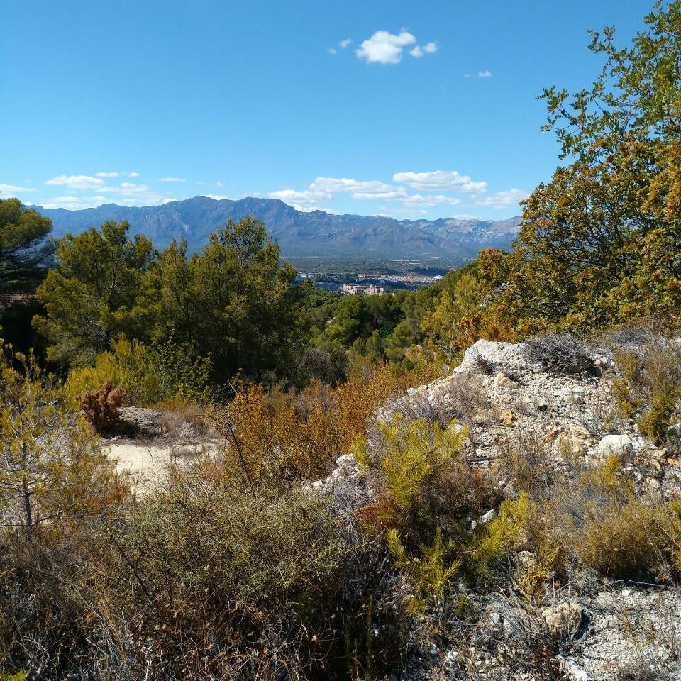 Tortosa desde la ermita