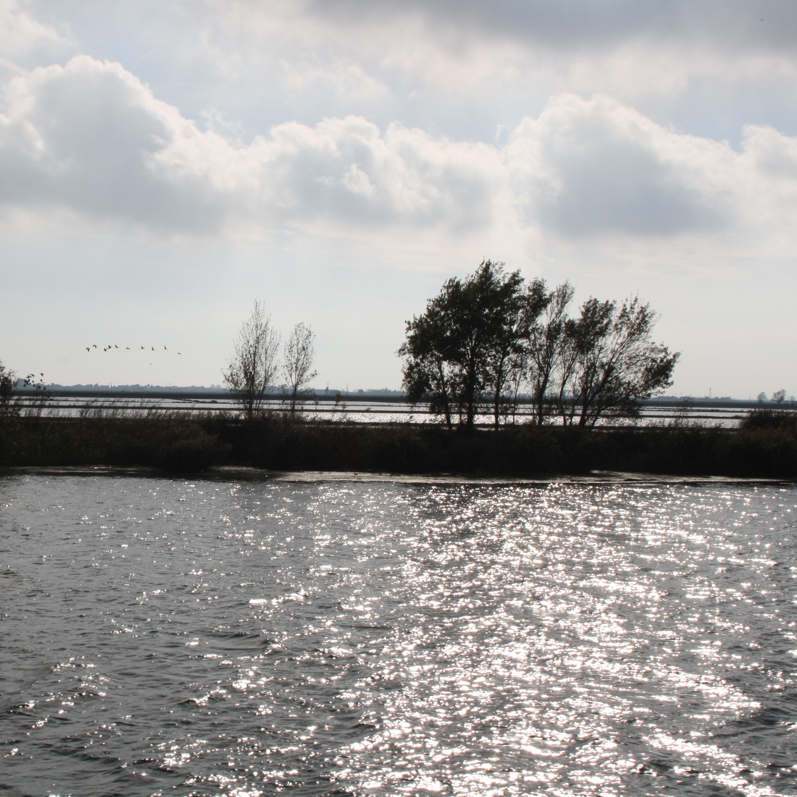 Delta del Ebro en barco